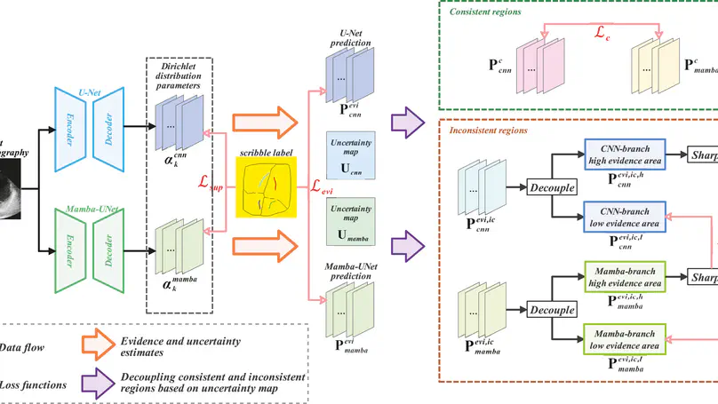 MambaEviScrib: Mamba and Evidence-Guided Consistency Enhance CNN Robustness for Scribble-Based Weakly Supervised Ultrasound Image Segmentation